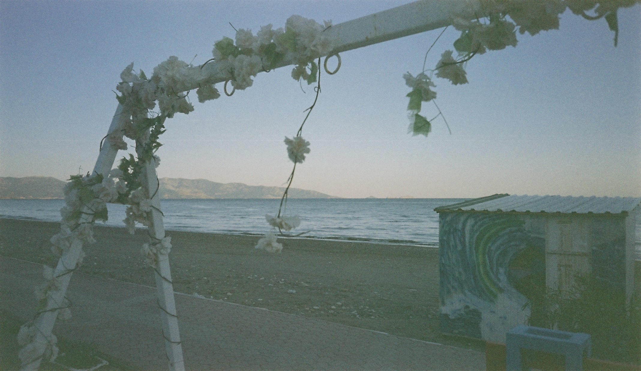 Dream